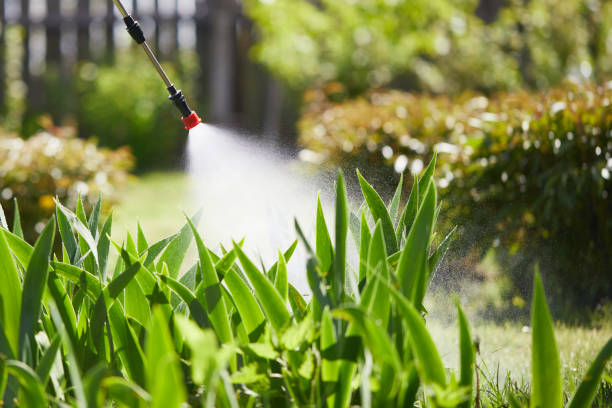 24/7 Emergency Wasp Removal experts in Madras, OR